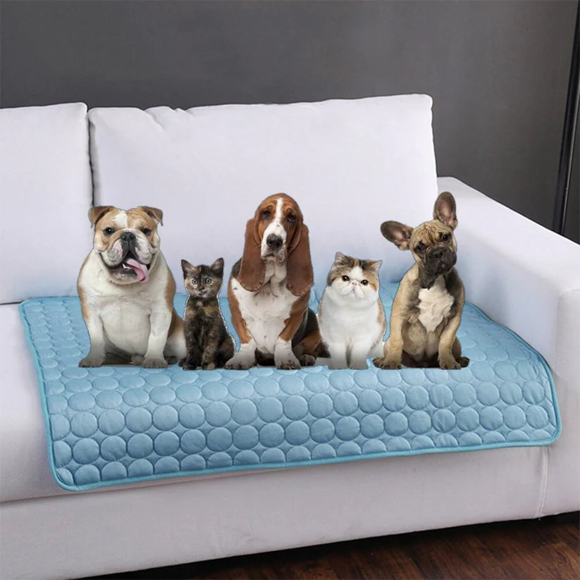 PattesZen™ Self-Cooling Gel Mat for Dogs & Cats | Pet Chill Pad